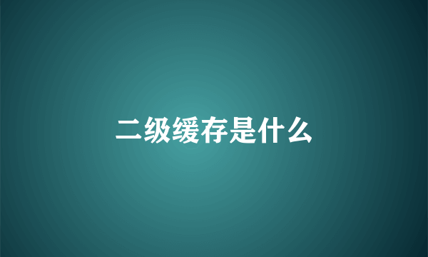 二级缓存是什么