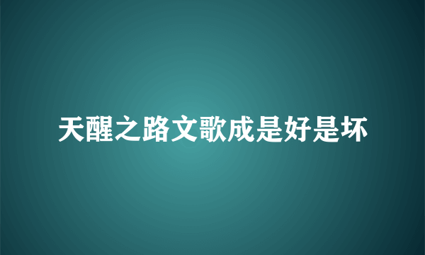 天醒之路文歌成是好是坏