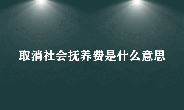 取消社会抚养费是什么意思