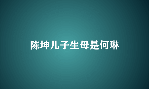 陈坤儿子生母是何琳