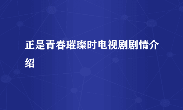 正是青春璀璨时电视剧剧情介绍