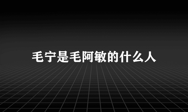 毛宁是毛阿敏的什么人