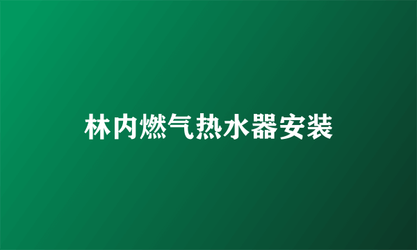 林内燃气热水器安装