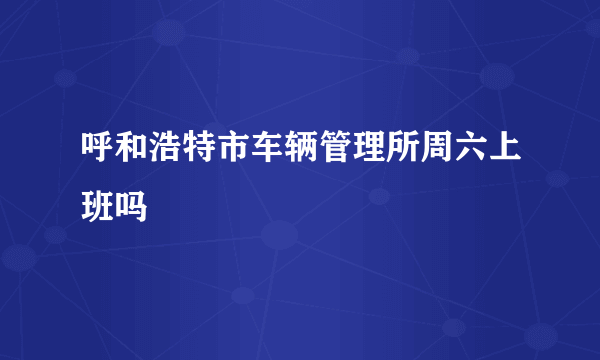 呼和浩特市车辆管理所周六上班吗