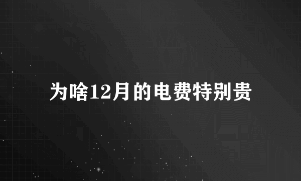 为啥12月的电费特别贵