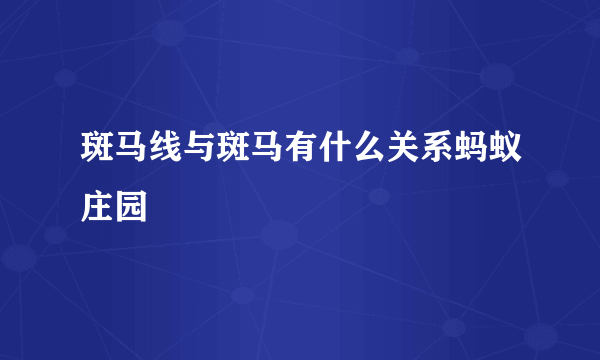 斑马线与斑马有什么关系蚂蚁庄园