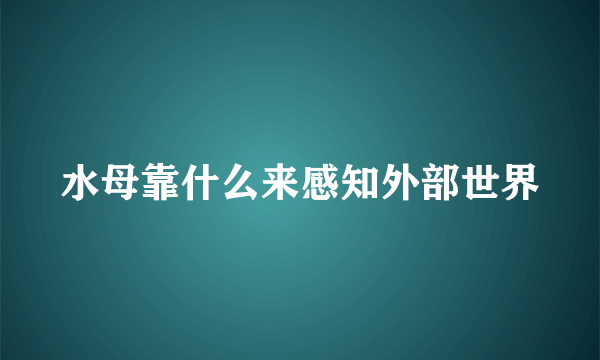 水母靠什么来感知外部世界