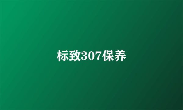 标致307保养