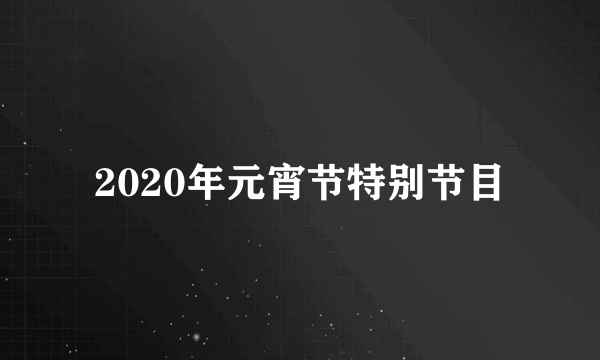 2020年元宵节特别节目