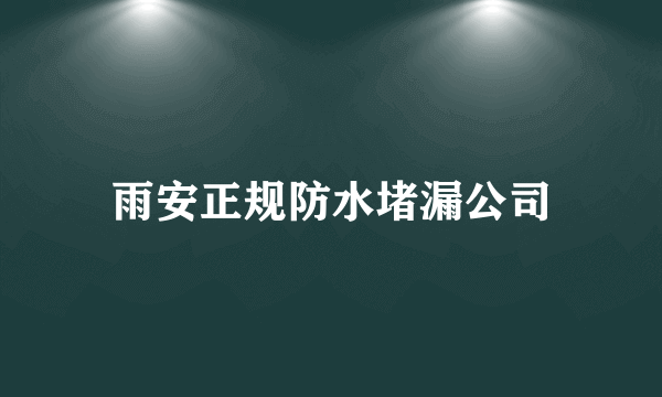 雨安正规防水堵漏公司