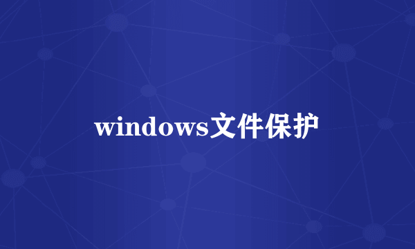 windows文件保护