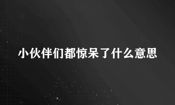 小伙伴们都惊呆了什么意思