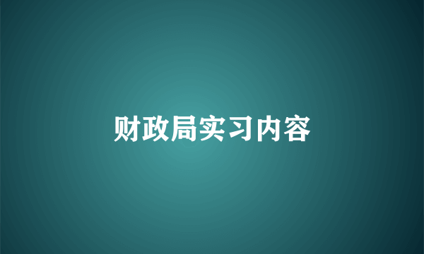 财政局实习内容