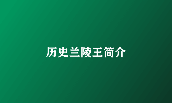 历史兰陵王简介