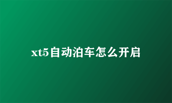 xt5自动泊车怎么开启