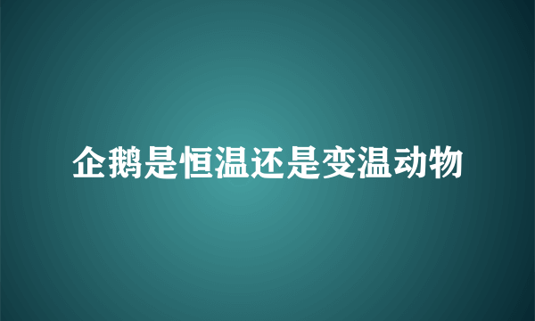 企鹅是恒温还是变温动物