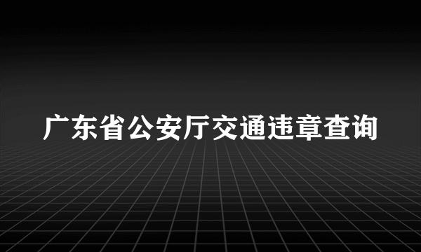 广东省公安厅交通违章查询