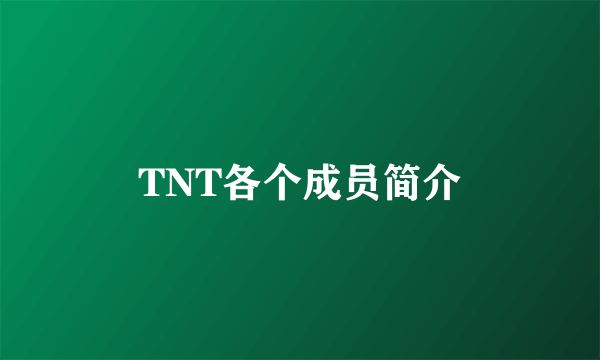 TNT各个成员简介