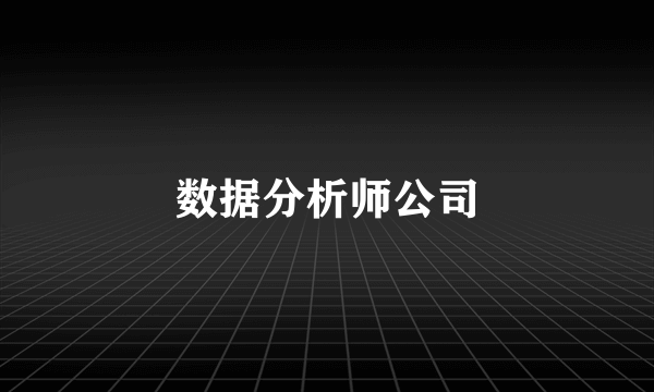 数据分析师公司