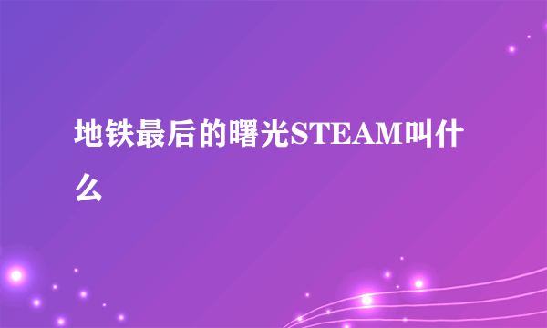 地铁最后的曙光STEAM叫什么