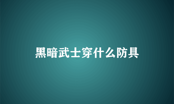 黑暗武士穿什么防具