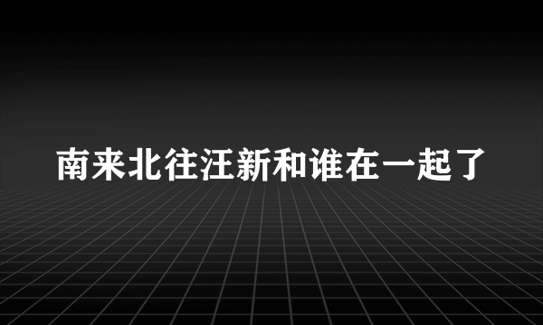 南来北往汪新和谁在一起了