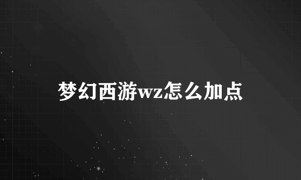 梦幻西游wz怎么加点