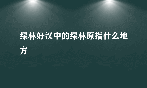 绿林好汉中的绿林原指什么地方