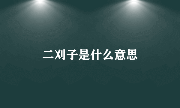 二刈子是什么意思