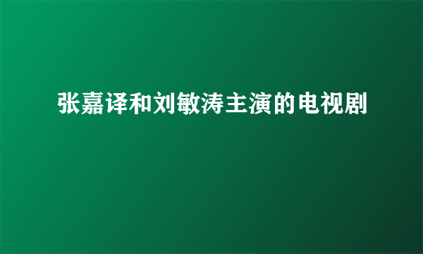 张嘉译和刘敏涛主演的电视剧