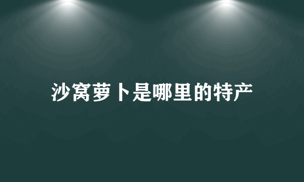 沙窝萝卜是哪里的特产