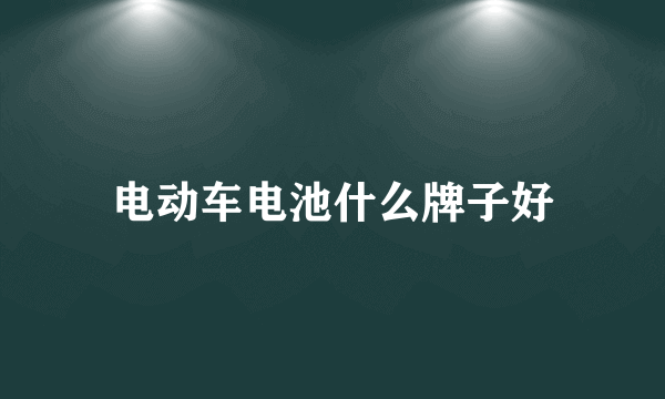 电动车电池什么牌子好