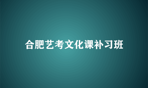 合肥艺考文化课补习班