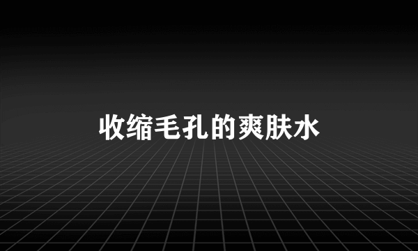 收缩毛孔的爽肤水