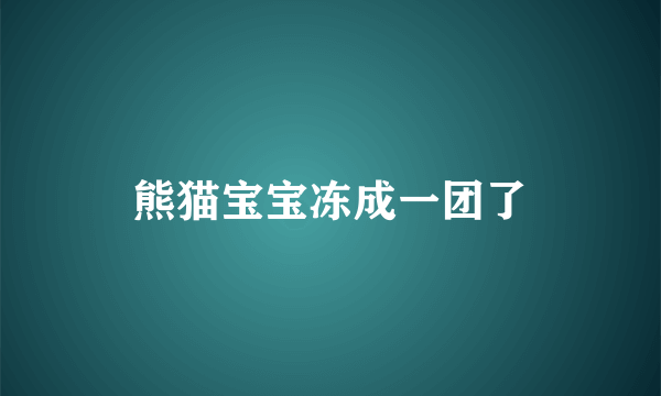 熊猫宝宝冻成一团了