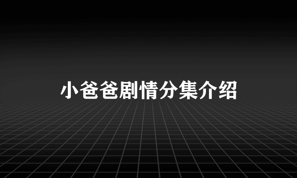 小爸爸剧情分集介绍