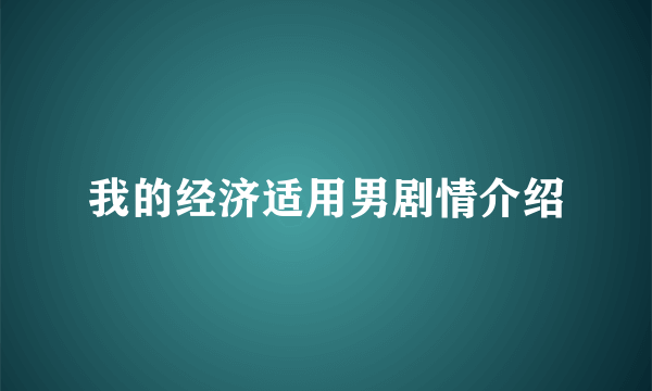 我的经济适用男剧情介绍