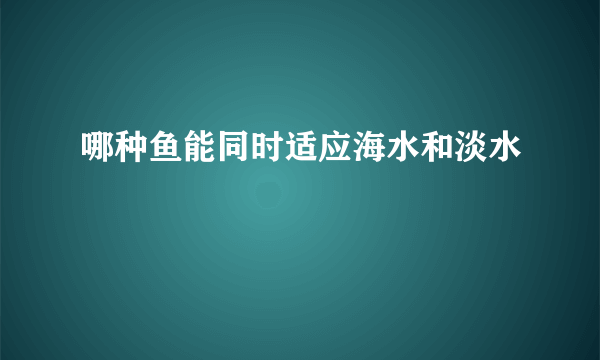 哪种鱼能同时适应海水和淡水