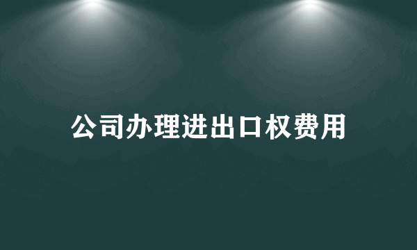 公司办理进出口权费用