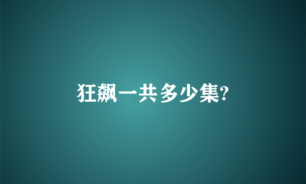 狂飙一共多少集?