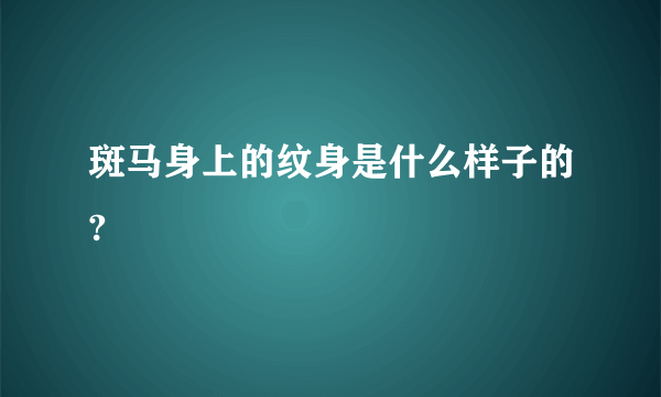 斑马身上的纹身是什么样子的?