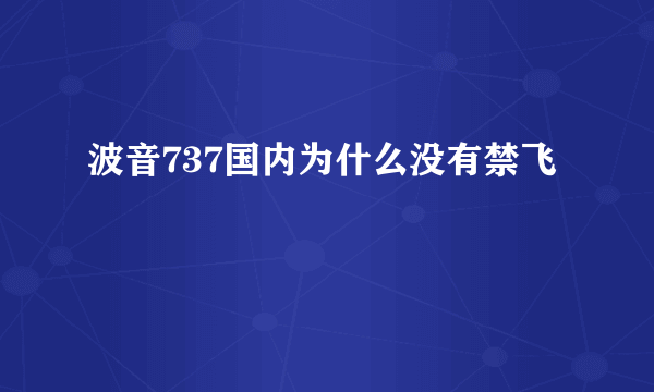 波音737国内为什么没有禁飞