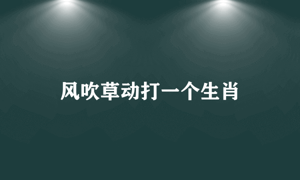 风吹草动打一个生肖