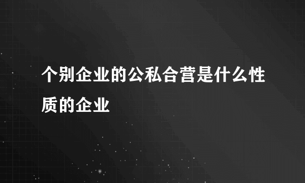 个别企业的公私合营是什么性质的企业