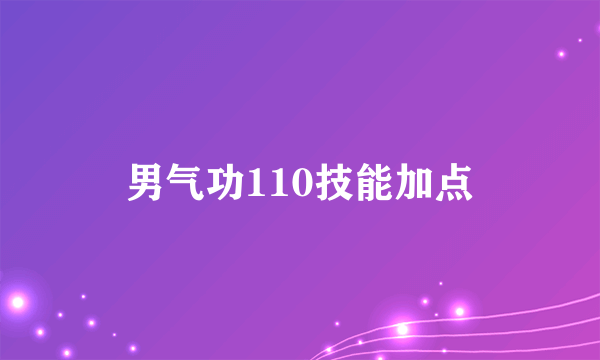 男气功110技能加点