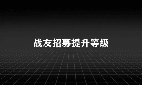 战友招募提升等级