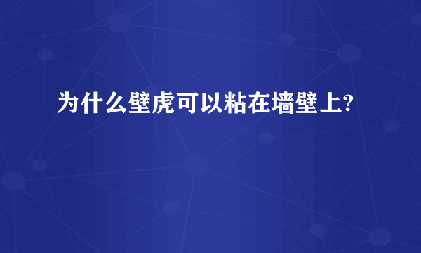 为什么壁虎可以粘在墙壁上?