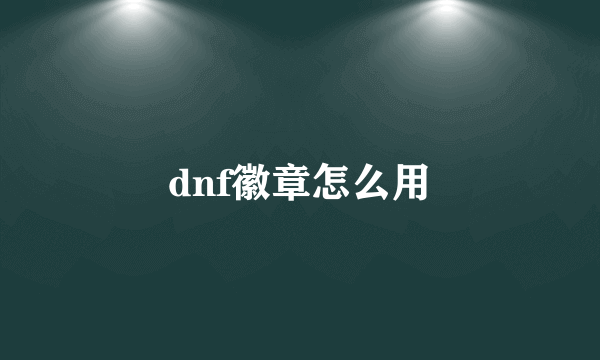 dnf徽章怎么用