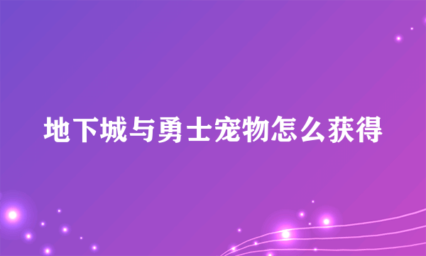 地下城与勇士宠物怎么获得