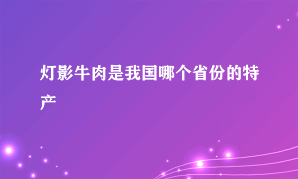 灯影牛肉是我国哪个省份的特产